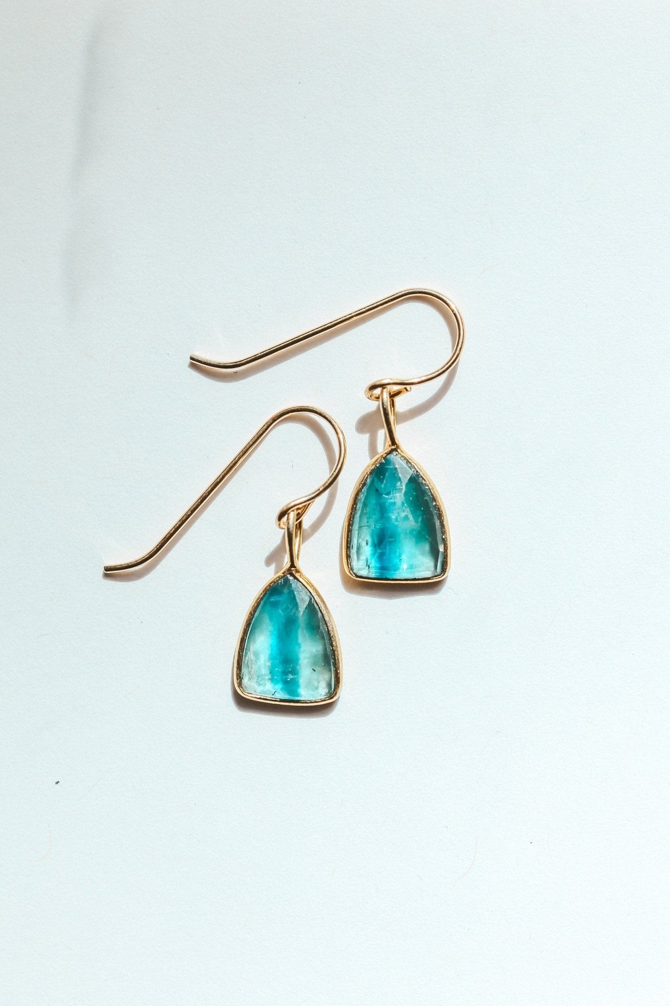 Kyanite Shield Rose Cut Earrings - Che Cose Belle