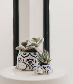 Lalita Baby Turtle Mini Succulent Planter - White, Blue Hand Painted - Che Cose Belle