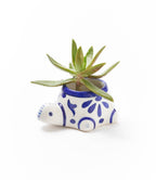 Lalita Baby Turtle Mini Succulent Planter - White, Blue Hand Painted - Che Cose Belle