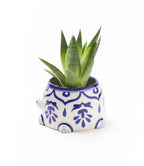 Lalita Mama Turtle Succulent Planter - White, Blue Hand Painted - Che Cose Belle