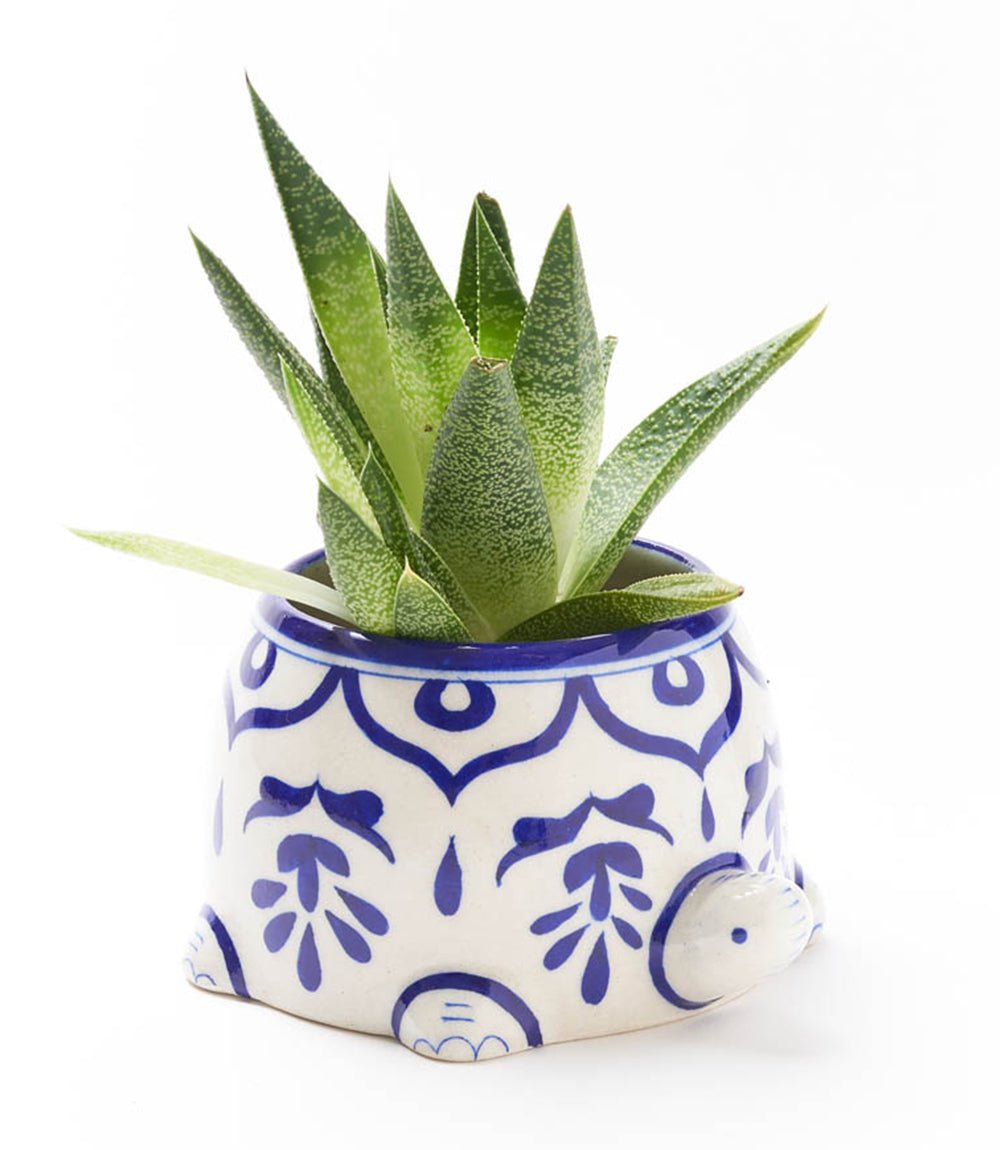 Lalita Mama Turtle Succulent Planter - White, Blue Hand Painted - Che Cose Belle