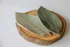 Large Leaf Dish - Che Cose Belle