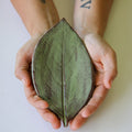 Large Leaf Dish - Che Cose Belle