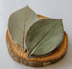 Large Leaf Dish - Che Cose Belle