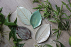 Large Leaf Dish - Che Cose Belle