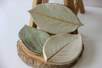Large Leaf Dish - Che Cose Belle