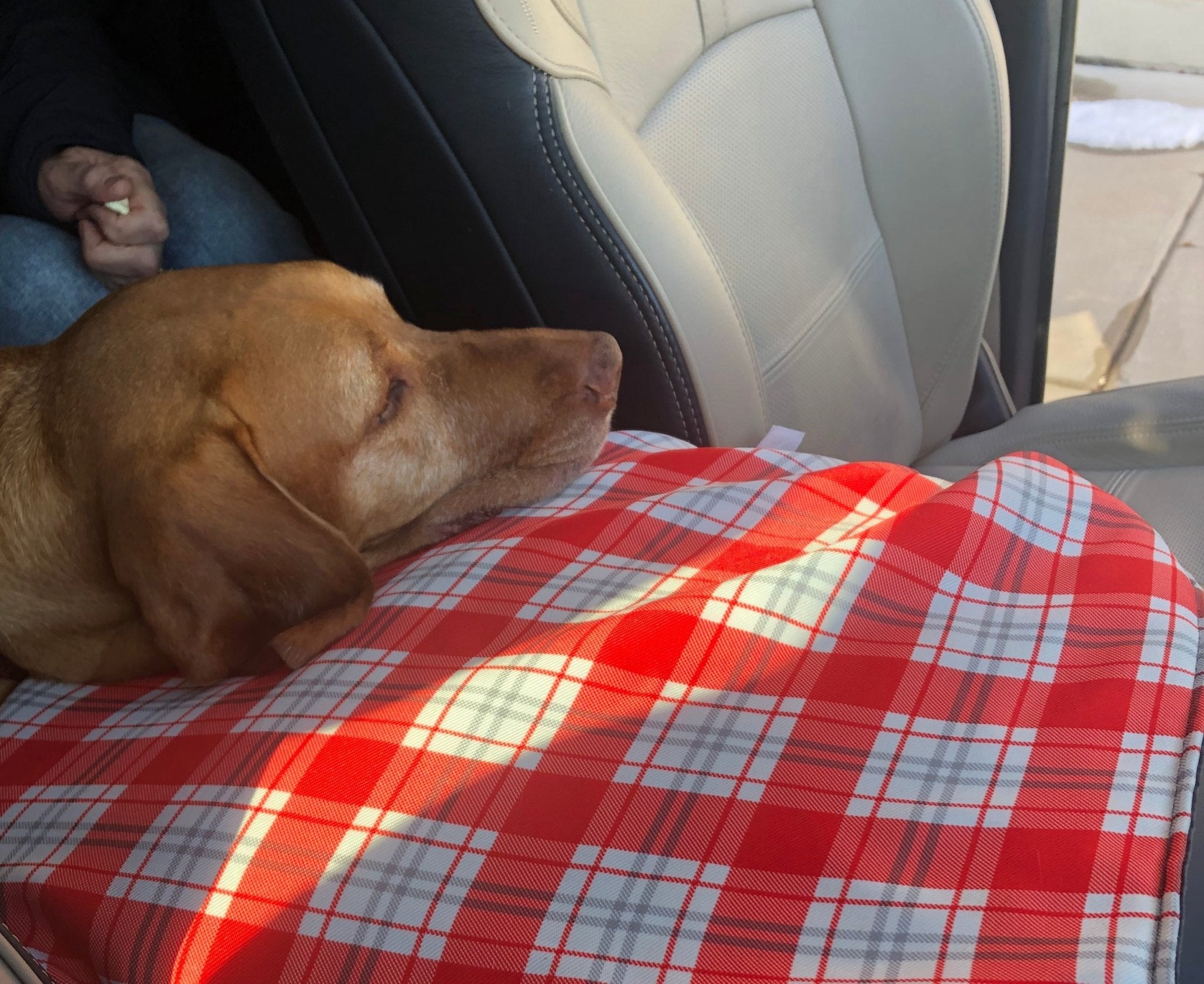 Liberty Blanket, Gray/Red - Che Cose Belle