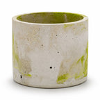 Lime & Gray Concrete Flower Pot | 6" x 4.75" x 4.75" | Color Crete Creations - Che Cose Belle