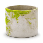 Lime & Gray Concrete Flower Pot | 6" x 4.75" x 4.75" | Color Crete Creations - Che Cose Belle