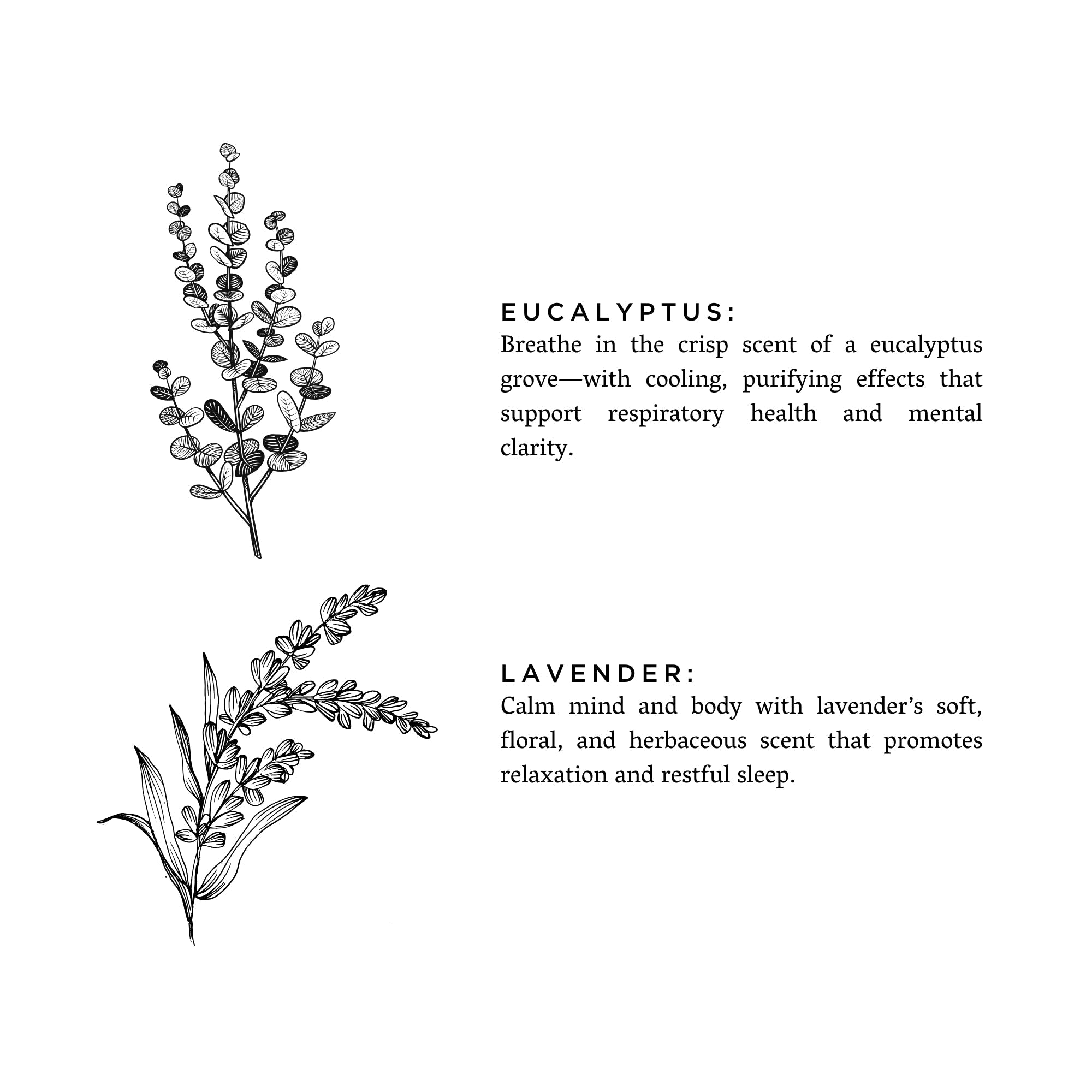 Linen Spray - Eucalyptus + Lavender - Che Cose Belle