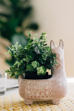 Llama Terracotta Planter - Che Cose Belle