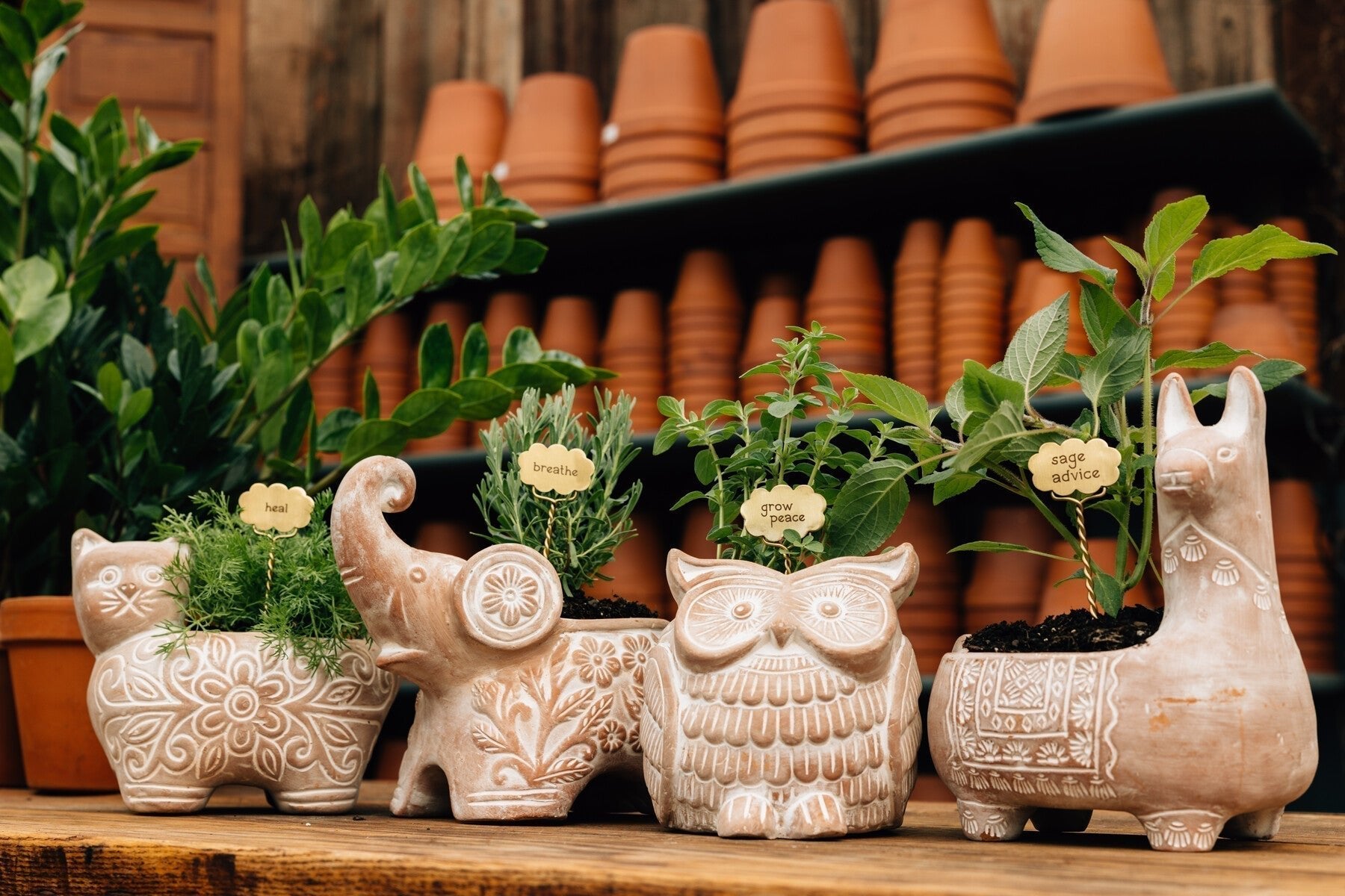Llama Terracotta Planter - Che Cose Belle