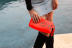 LOVE CLUTCH - Che Cose Belle