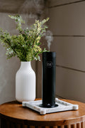 Luxury Electric Home Diffuser + Free 2 OZ Diffuser Oil | SMS150 - Che Cose Belle