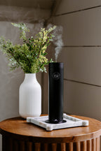 Luxury Electric Home Diffuser + Free 2 OZ Diffuser Oil | SMS150 - Che Cose Belle