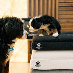 Luxury Orthopedic Dog Bed - Che Cose Belle