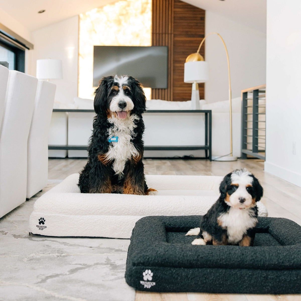 Luxury Orthopedic Dog Bed - Che Cose Belle