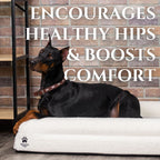 Luxury Orthopedic Dog Bed - Che Cose Belle