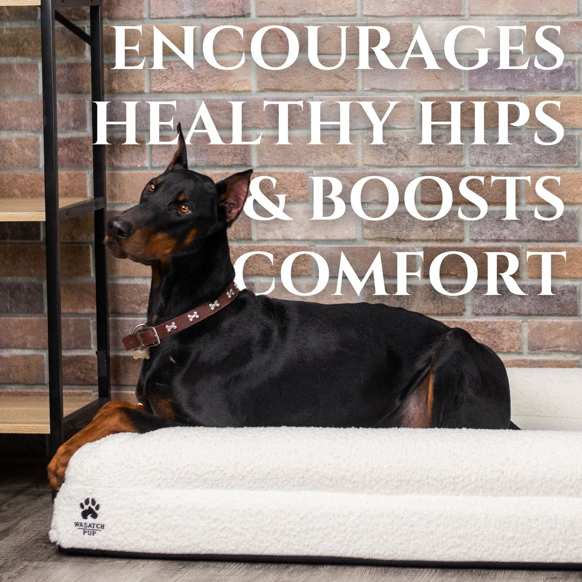 Luxury Orthopedic Dog Bed - Che Cose Belle