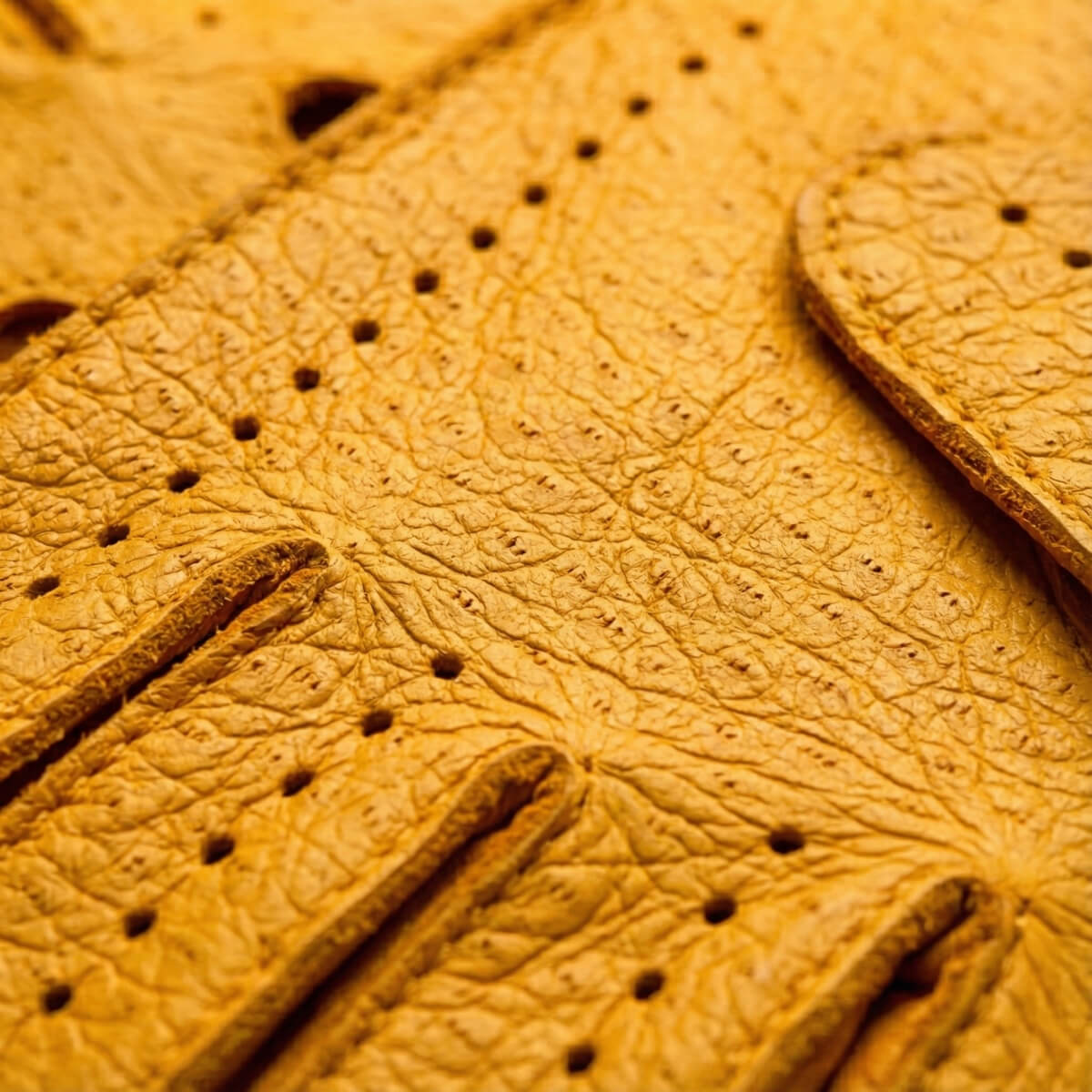 Marcello (yellow) – Luxurious Italian peccary driving gloves - Che Cose Belle