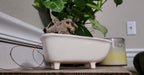 Medium Ceramic Bathtub Planter - Che Cose Belle