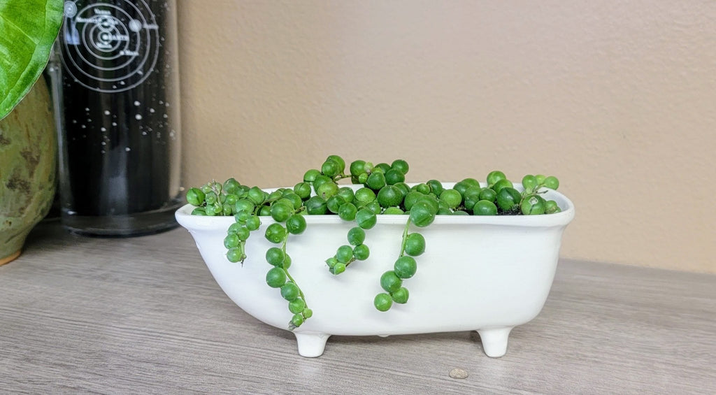 Medium Ceramic Bathtub Planter - Che Cose Belle