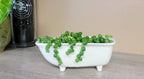 Medium Ceramic Bathtub Planter - Che Cose Belle