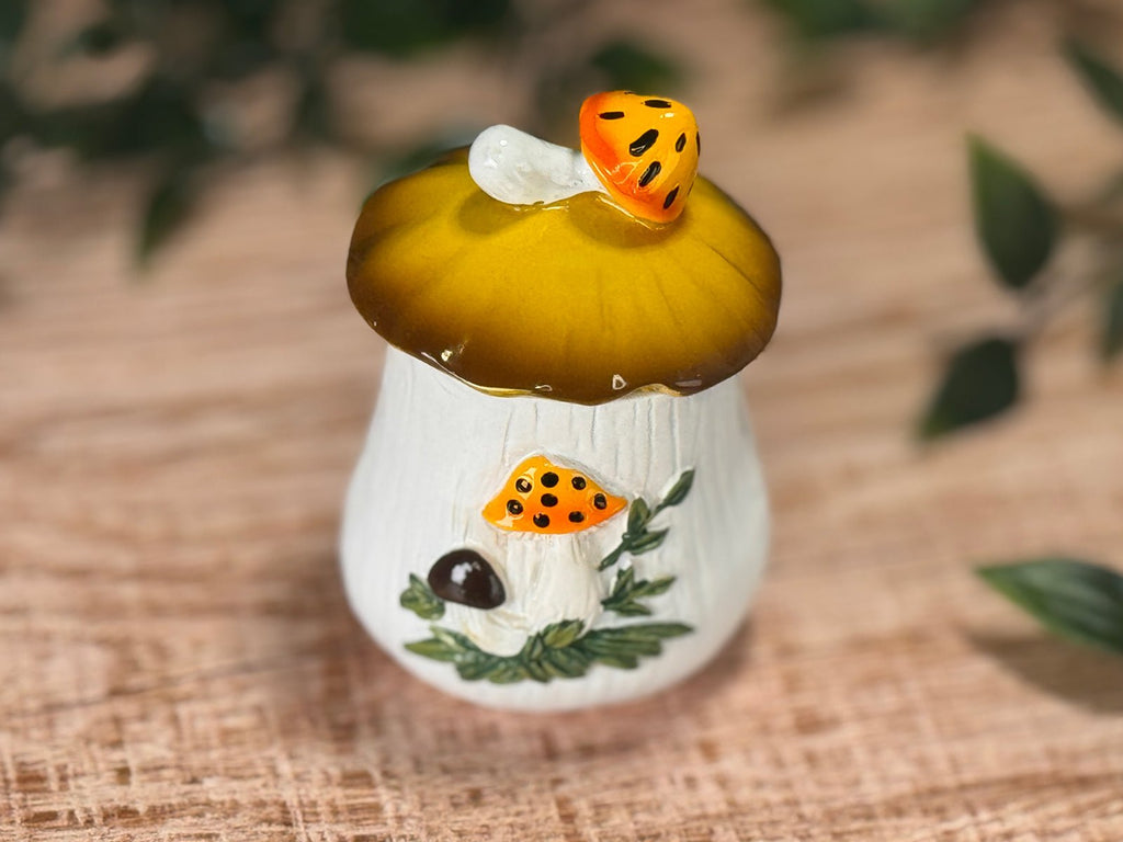 Merry Mushroom - Inspired 70s Hand - Painted Trinket Box - Che Cose Belle