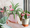 Mini Flamingos Figurines with Stakes - Set of 4 Small Flamingos Garden Gifts for Women Resin for Flower/Plant Pot Decorations - Miniature Fairy Garden - Che Cose Belle