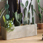 Modern Rectangular Textured Planter - Che Cose Belle