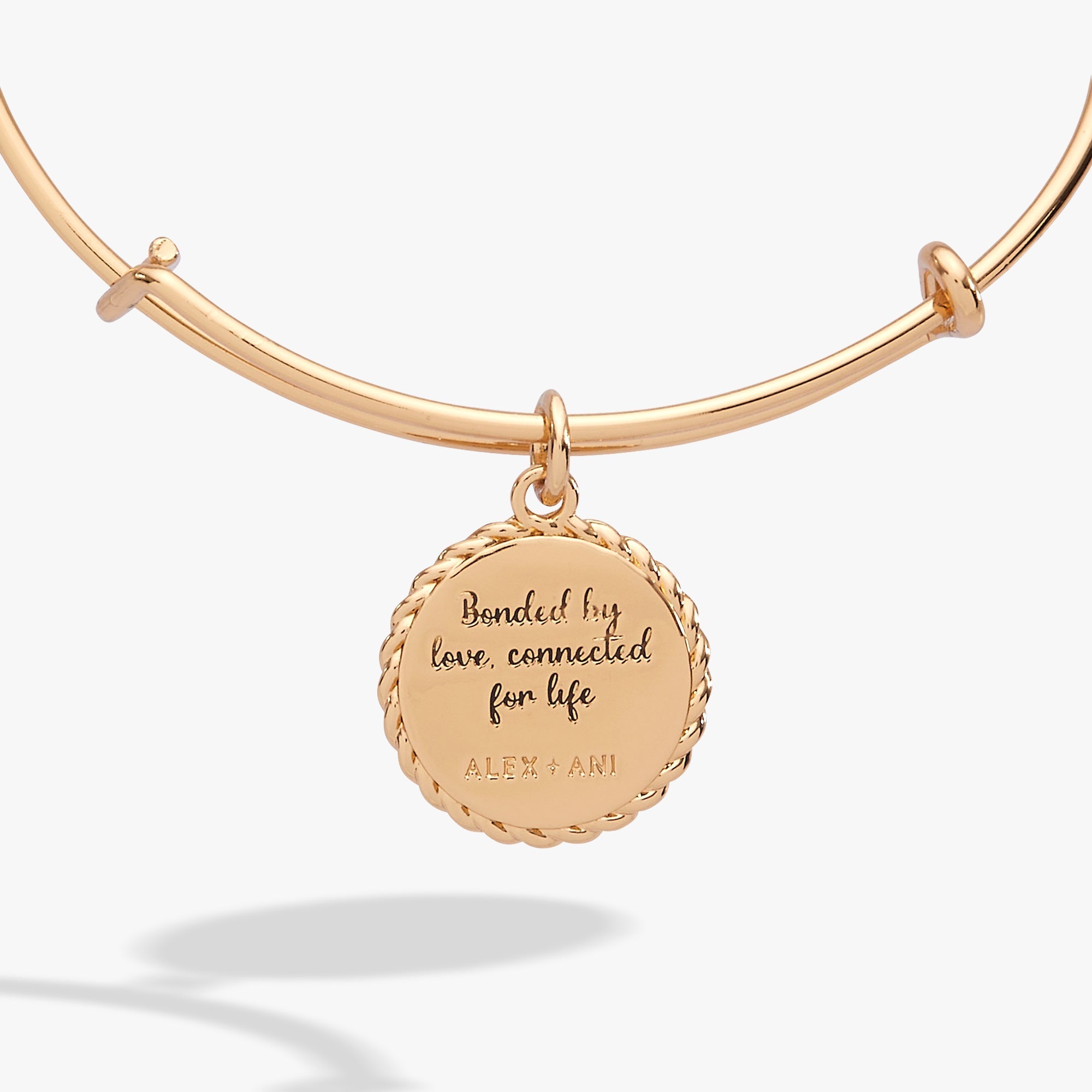 Mom 'Bonded By Love, Connected For Life' Charm Bangle - Che Cose Belle