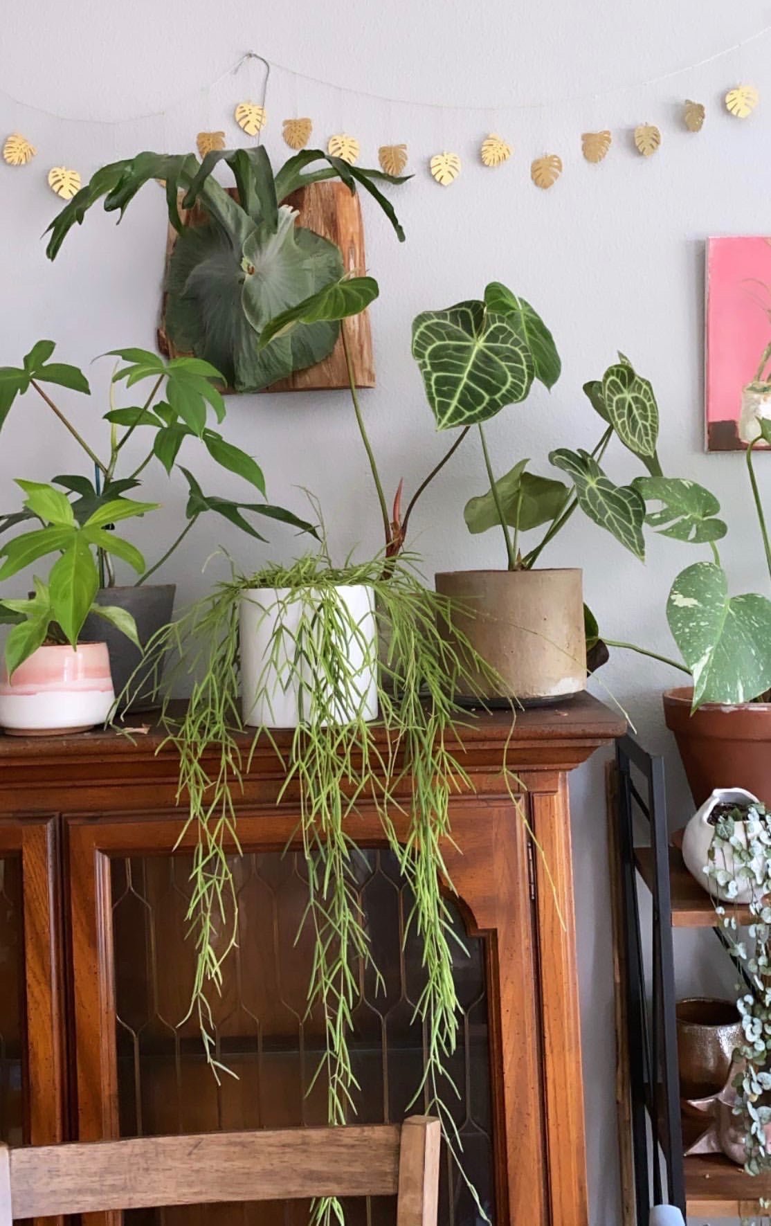 Monstera Hammered Brass Garland - Che Cose Belle