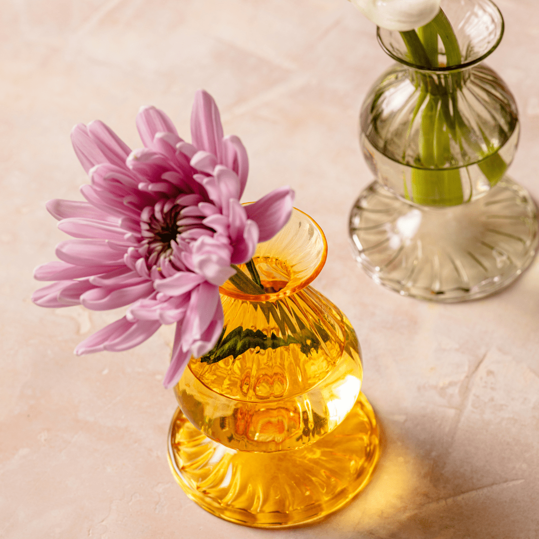 Nalia Budvase, Daffodil - Che Cose Belle