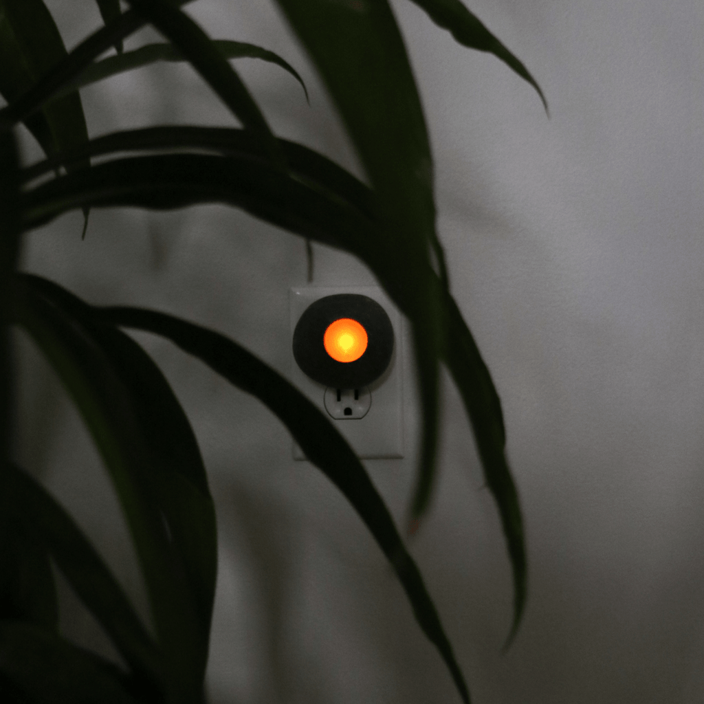 Nature's Nightlight - Che Cose Belle