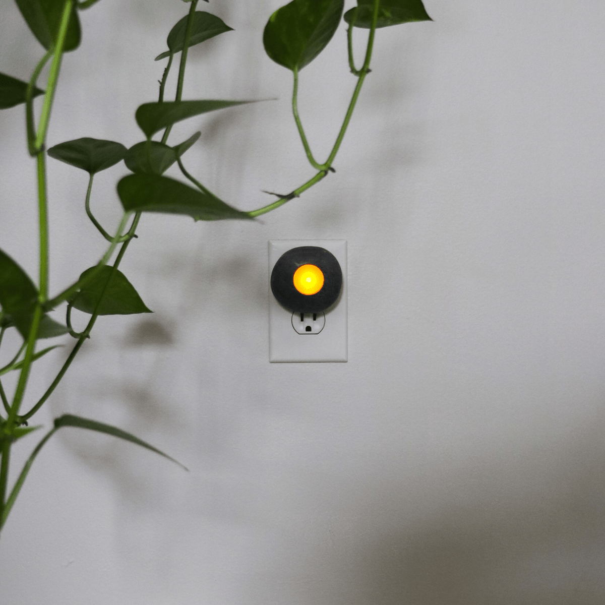 Nature's Nightlight - Che Cose Belle