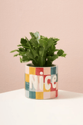 Naughty or Nice Planter - Che Cose Belle