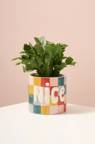 Naughty or Nice Planter - Che Cose Belle