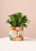 Naughty or Nice Planter - Che Cose Belle