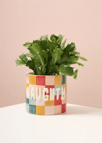 Naughty or Nice Planter - Che Cose Belle