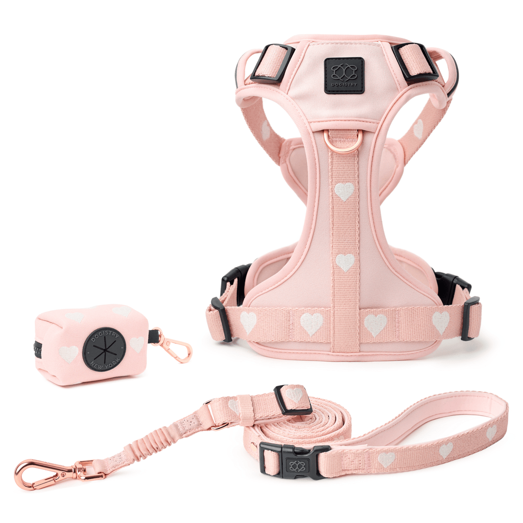 NoMad Adjustable Dog Walking Set - Sweetheart - Che Cose Belle