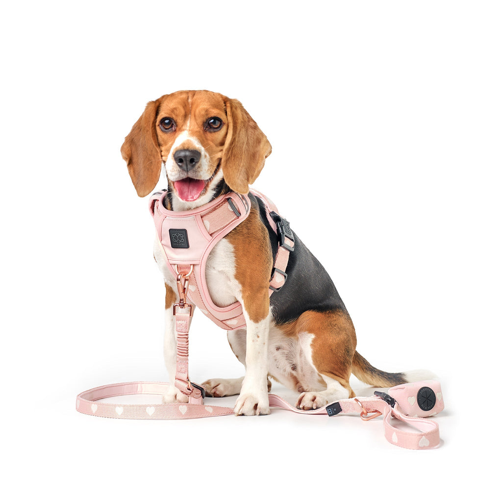 NoMad Adjustable Dog Walking Set - Sweetheart - Che Cose Belle
