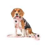 NoMad Adjustable Dog Walking Set - Sweetheart - Che Cose Belle