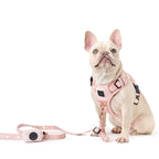 NoMad Adjustable Dog Walking Set - Sweetheart - Che Cose Belle