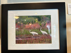 Norman C. Oates – Framed Coastal Wildlife Artwork - Che Cose Belle