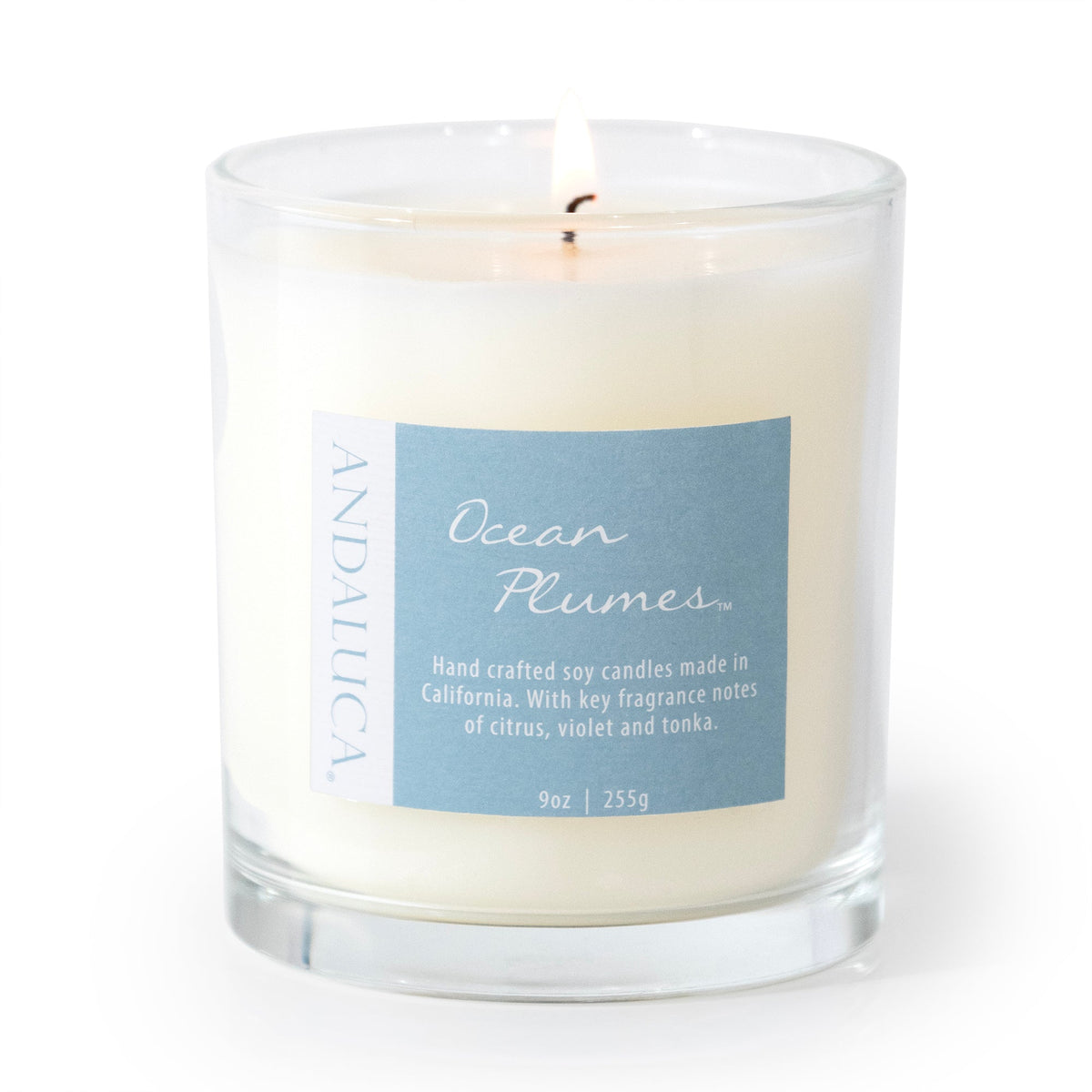 Ocean Plumes 9oz Candle - Che Cose Belle