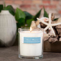 Ocean Plumes 9oz Candle - Che Cose Belle