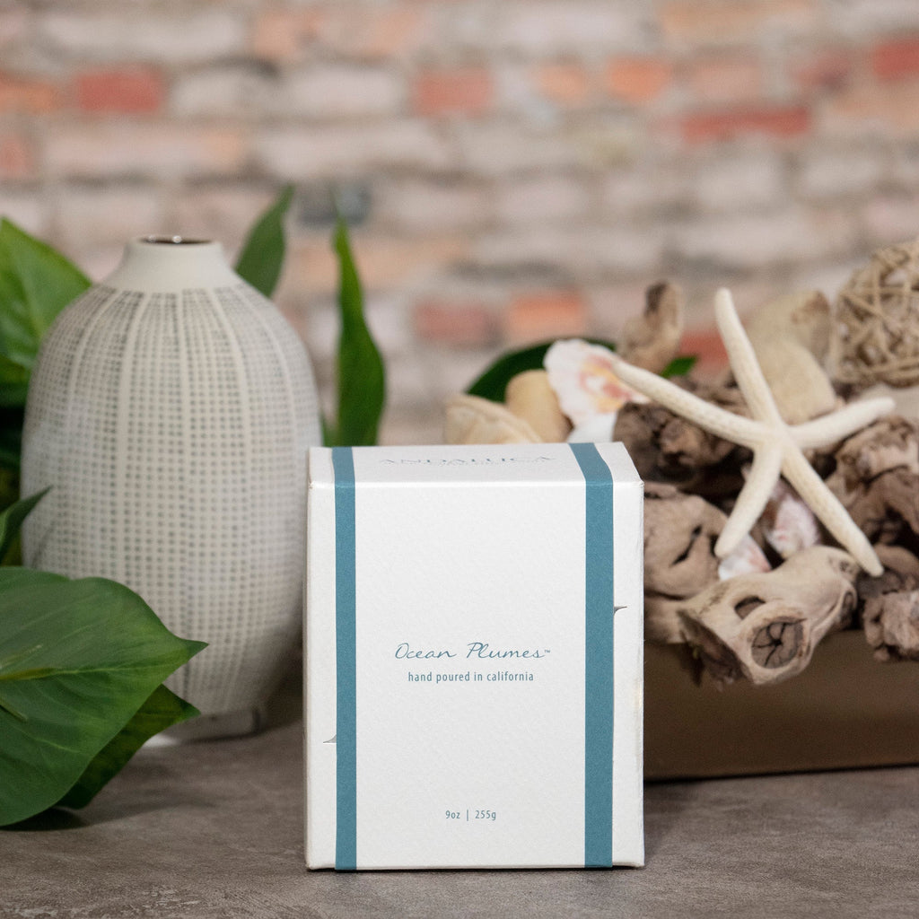 Ocean Plumes 9oz Candle - Che Cose Belle