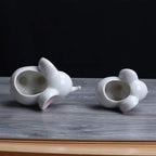 Ogrmar 2PCS Elephant Plant Window Boxes Cute Elephant Flower Pot/Modern White Ceramic Succulent Planter Pots/Tiny Flower Plant Containers Animal Decor - Che Cose Belle