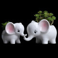 Ogrmar 2PCS Elephant Plant Window Boxes Cute Elephant Flower Pot/Modern White Ceramic Succulent Planter Pots/Tiny Flower Plant Containers Animal Decor - Che Cose Belle