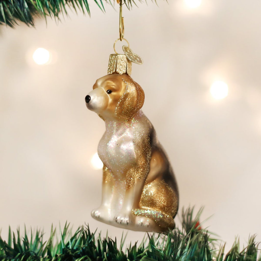 Old World Christmas Blown Beagle Ornament - Che Cose Belle